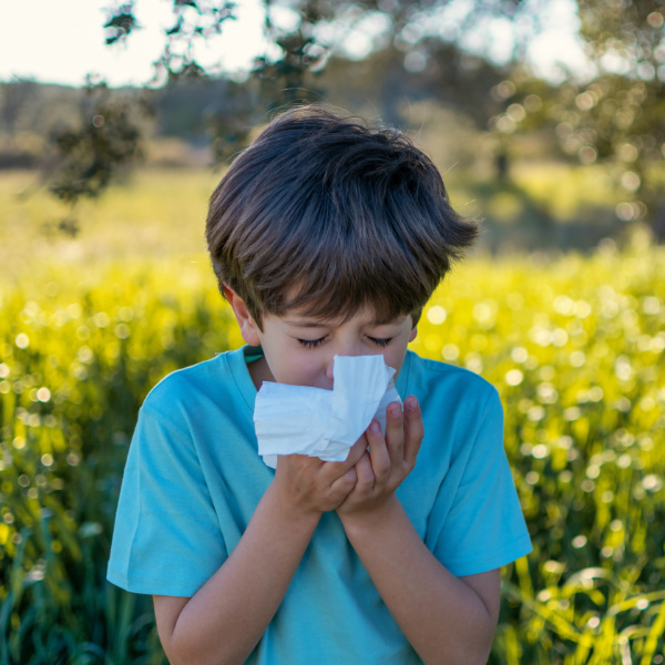 Little Boy Sneezing In The Field Because Of Allergy.